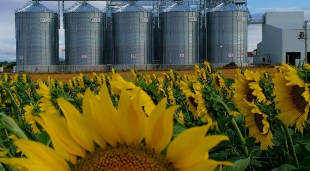 Altınbilek Lidaş Çifteler/Eskişehir 50.000 TON