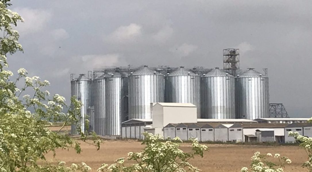 Bandırma Borsa Lidaş Bandırma/Balıkesir 43.850 TON