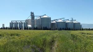 Silopi Lidaş Silopi/Şırnak 29.700 TON