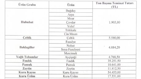 Lisanslı Depo Teminat Tarifesi EKİM2025-MART2026