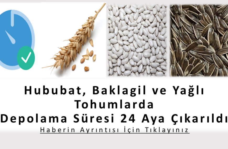 Depolama Süresi 24 Aya Çıkarıldı (17.12.2025)